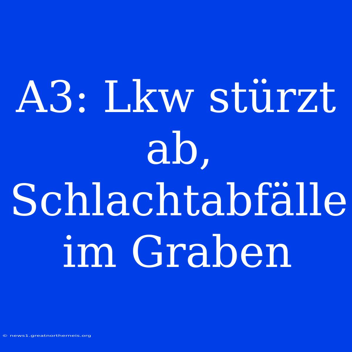 A3: Lkw Stürzt Ab, Schlachtabfälle Im Graben