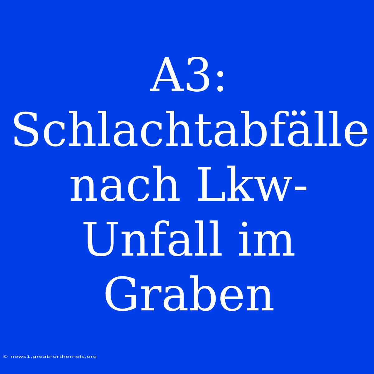 A3: Schlachtabfälle Nach Lkw-Unfall Im Graben