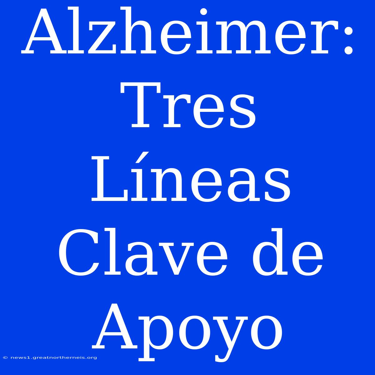 Alzheimer: Tres Líneas Clave De Apoyo