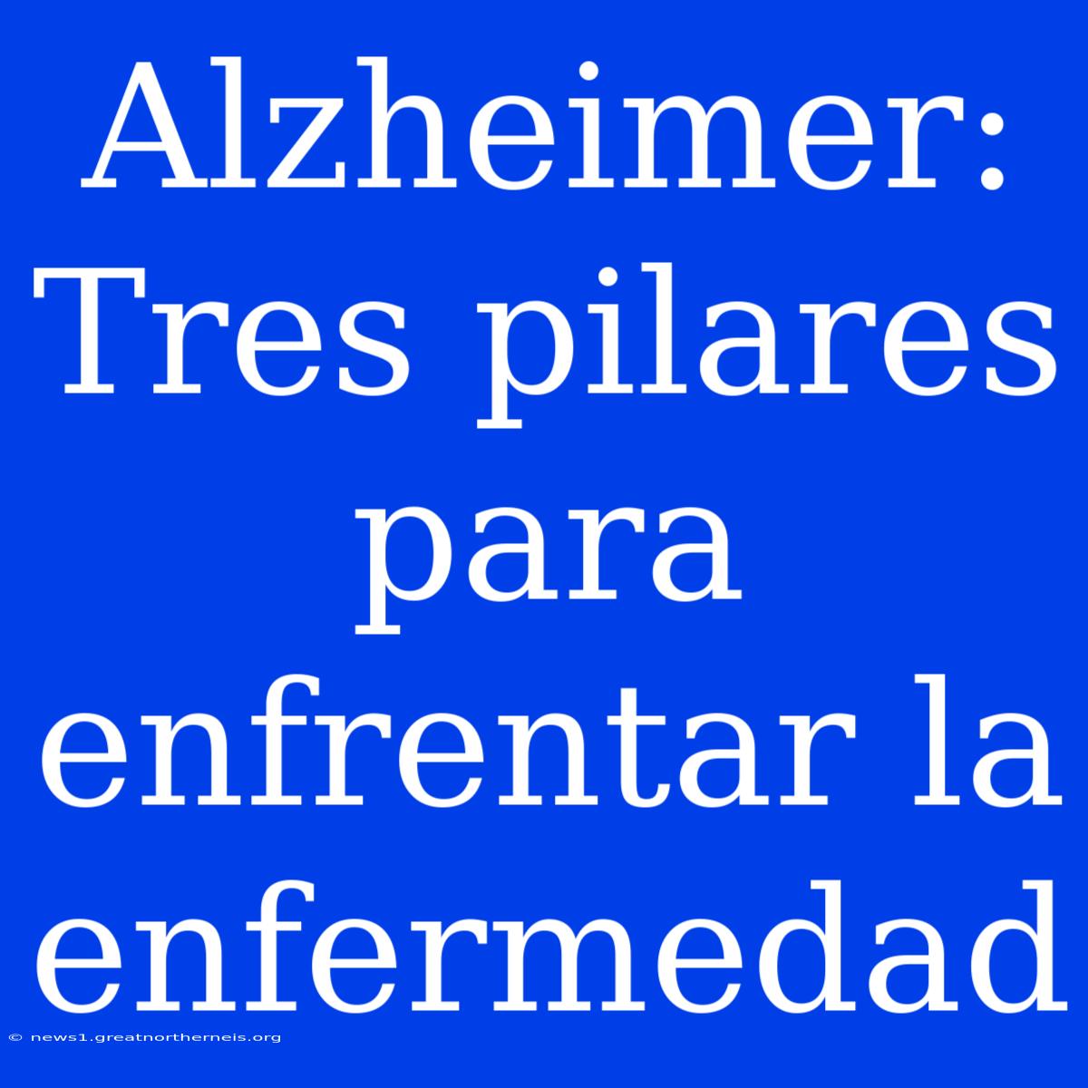 Alzheimer: Tres Pilares Para Enfrentar La Enfermedad