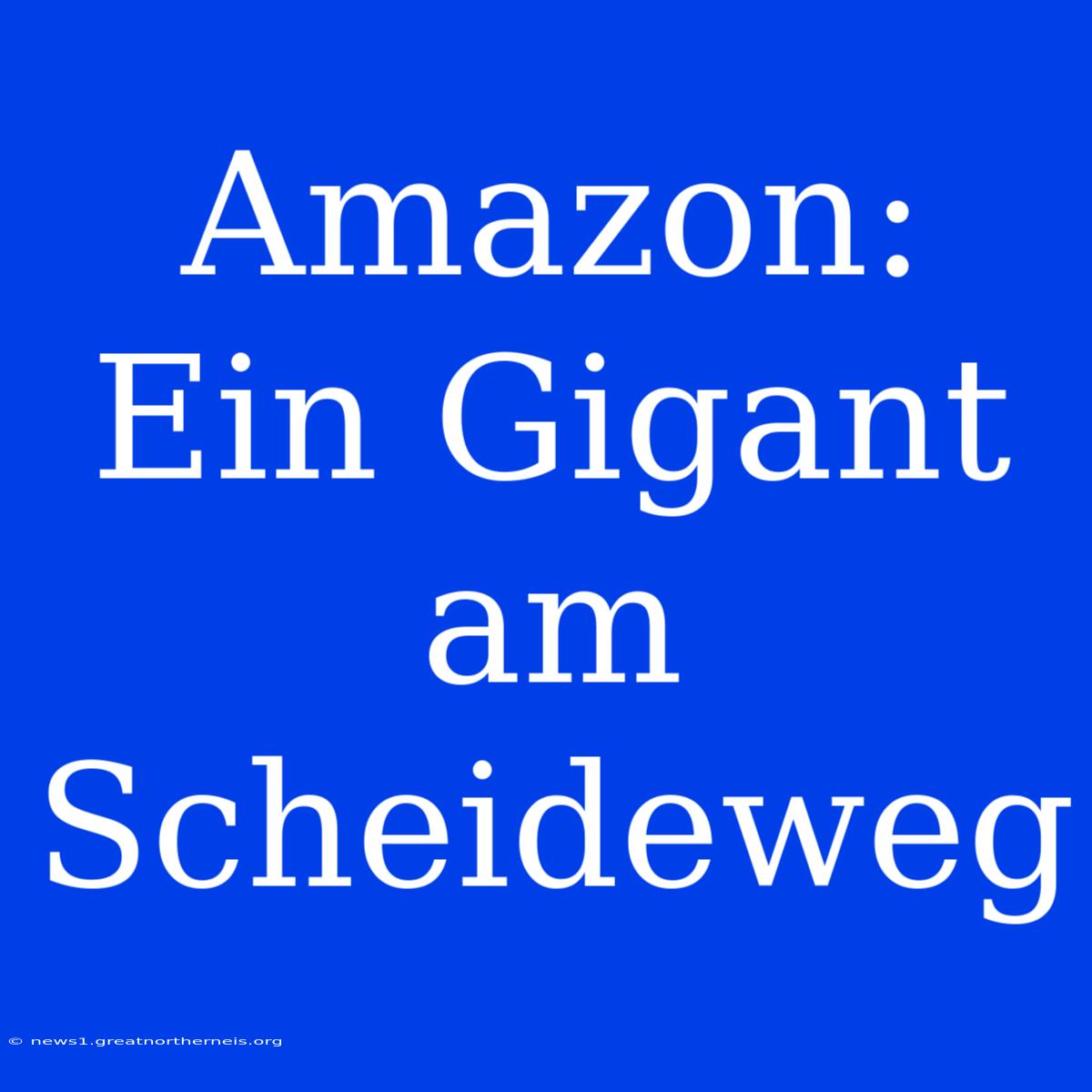 Amazon:  Ein Gigant Am Scheideweg