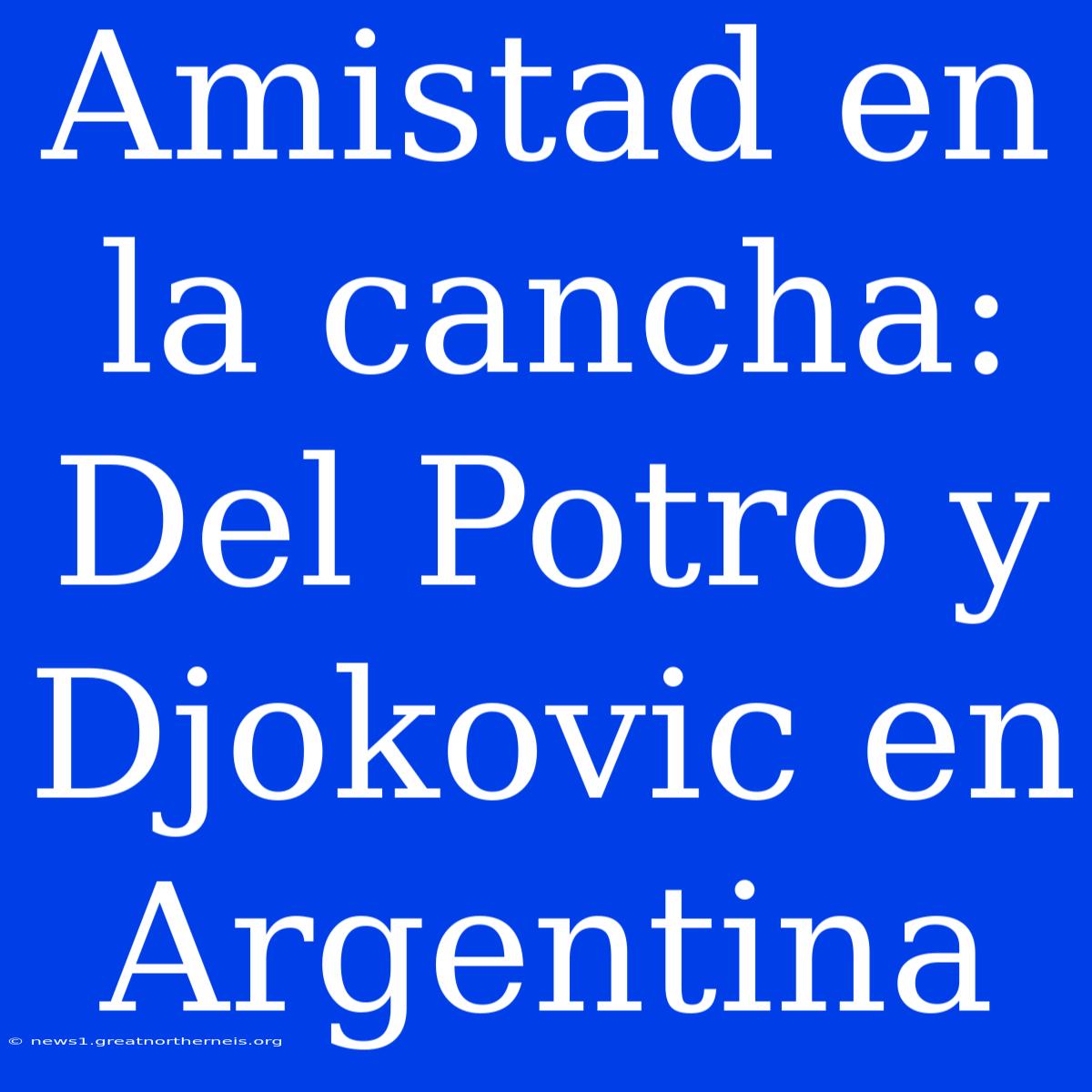 Amistad En La Cancha: Del Potro Y Djokovic En Argentina