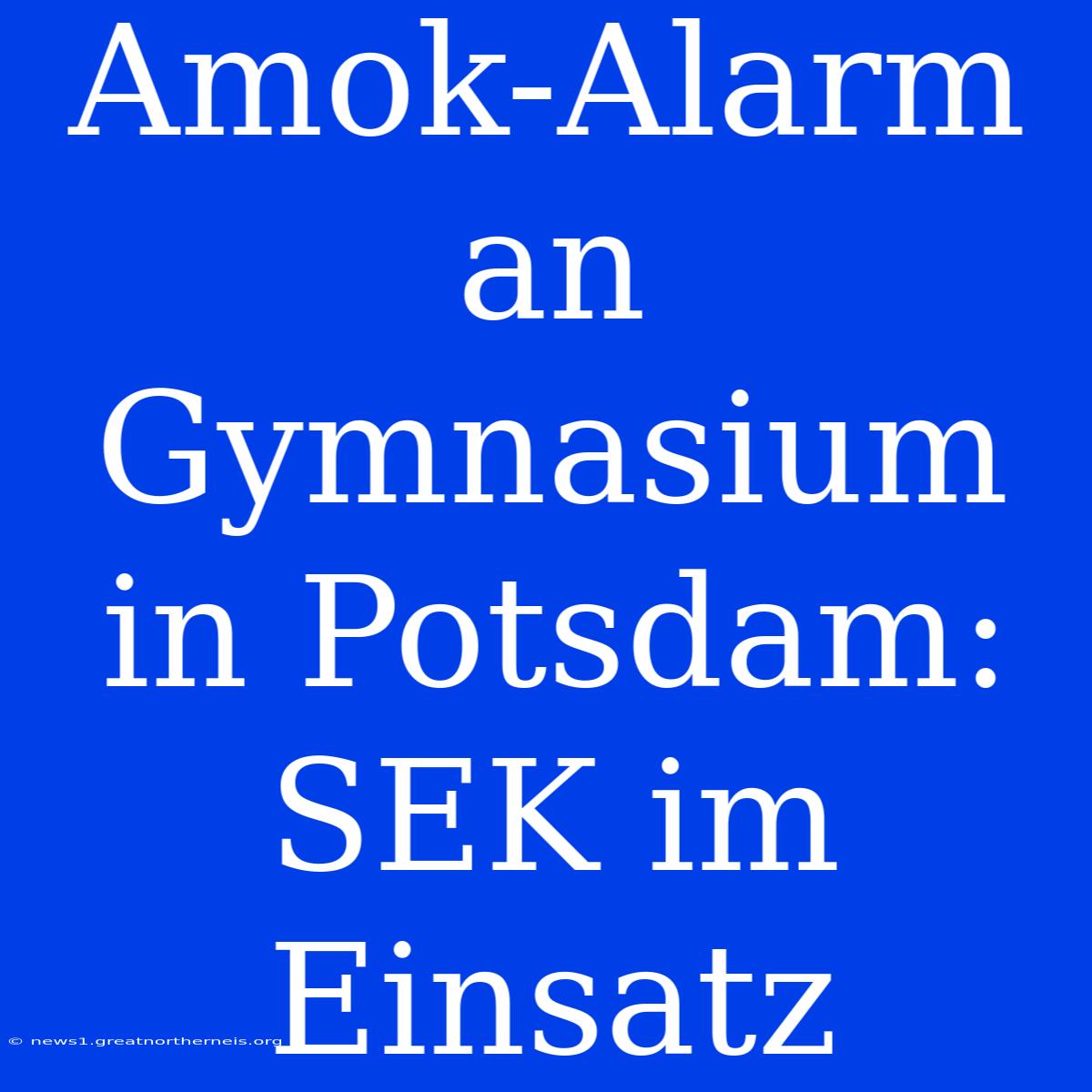 Amok-Alarm An Gymnasium In Potsdam: SEK Im Einsatz