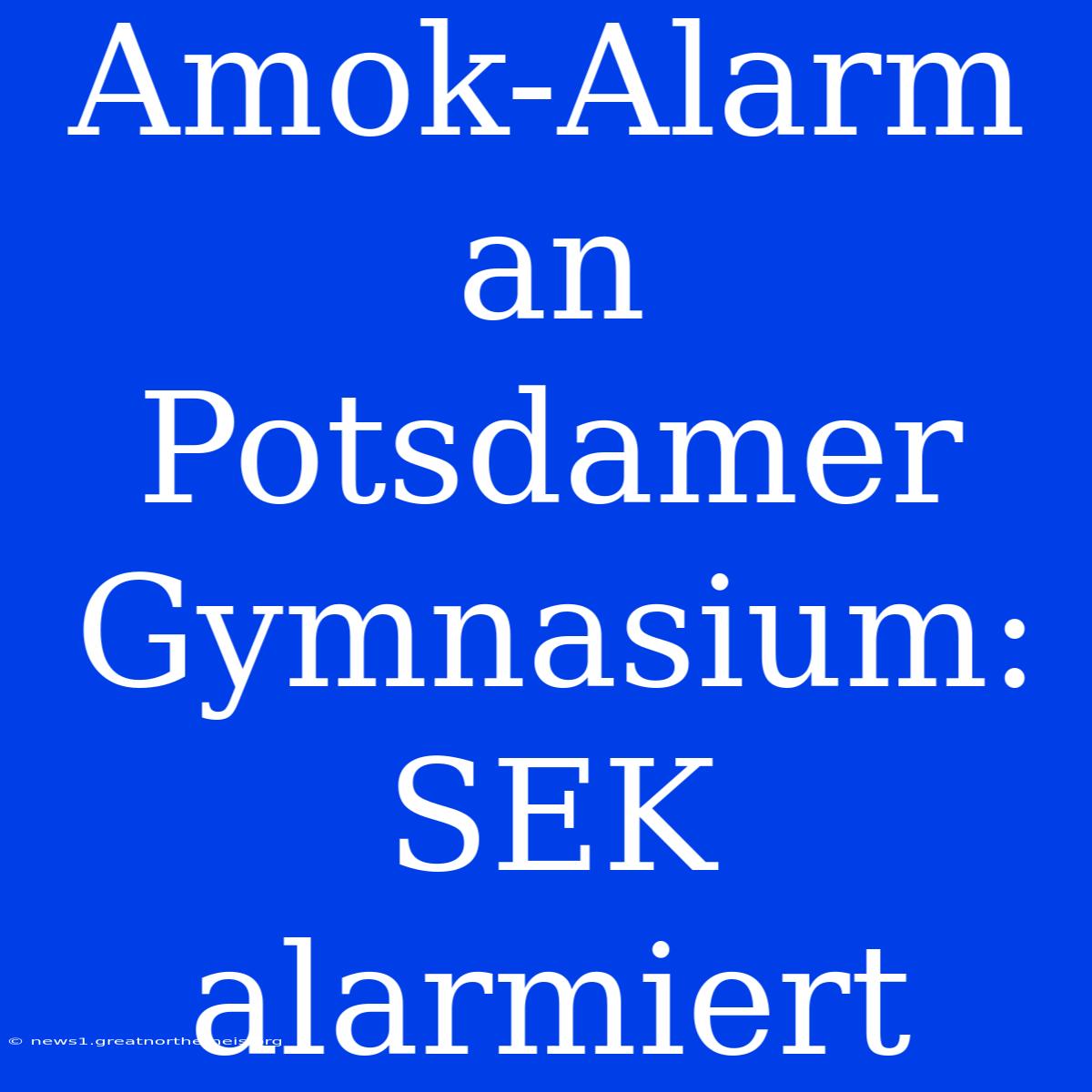 Amok-Alarm An Potsdamer Gymnasium: SEK Alarmiert