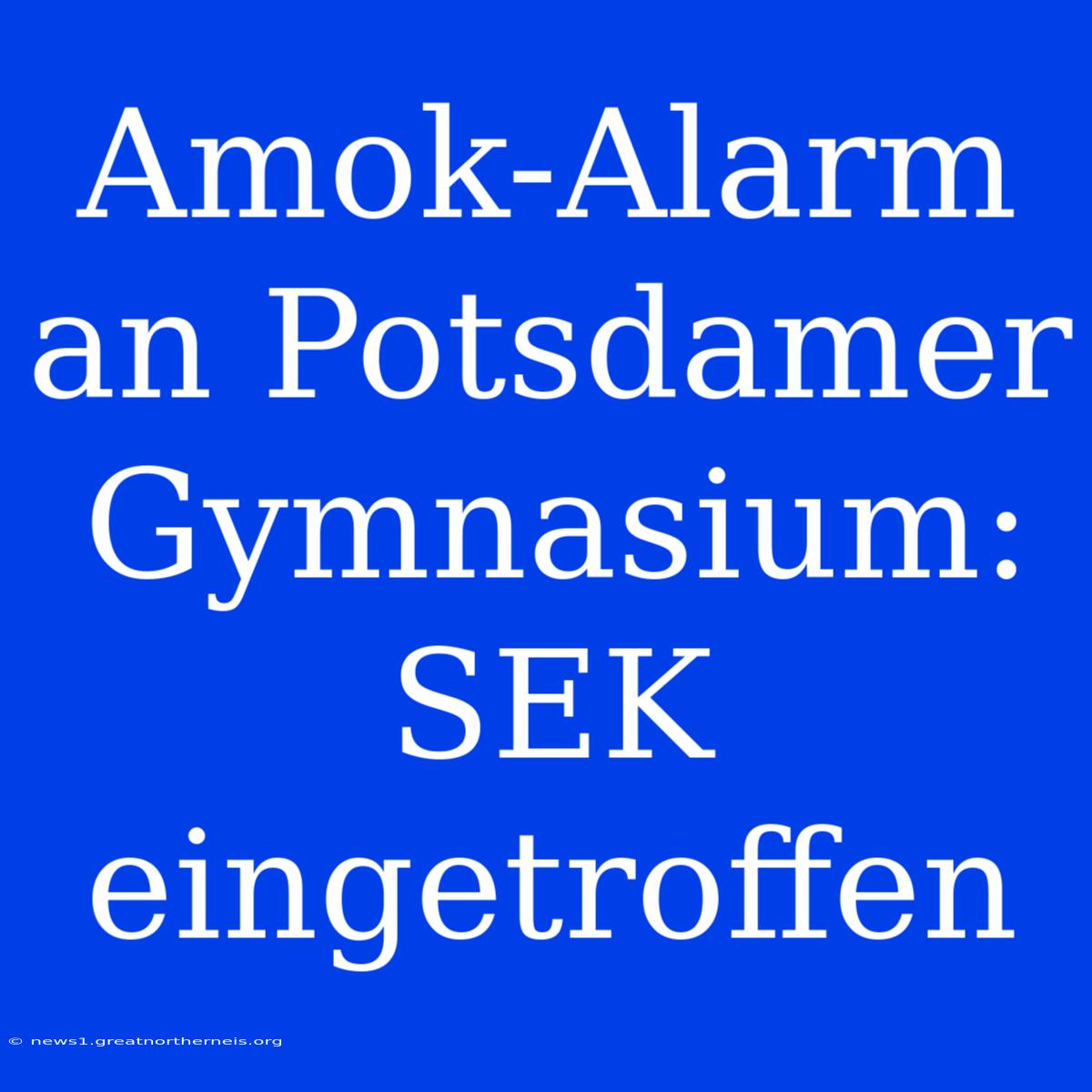 Amok-Alarm An Potsdamer Gymnasium: SEK Eingetroffen