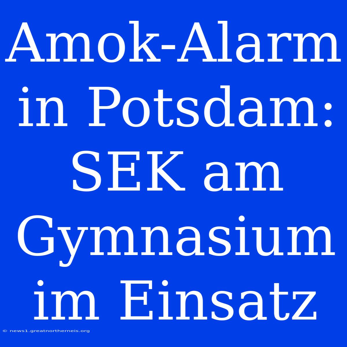 Amok-Alarm In Potsdam: SEK Am Gymnasium Im Einsatz