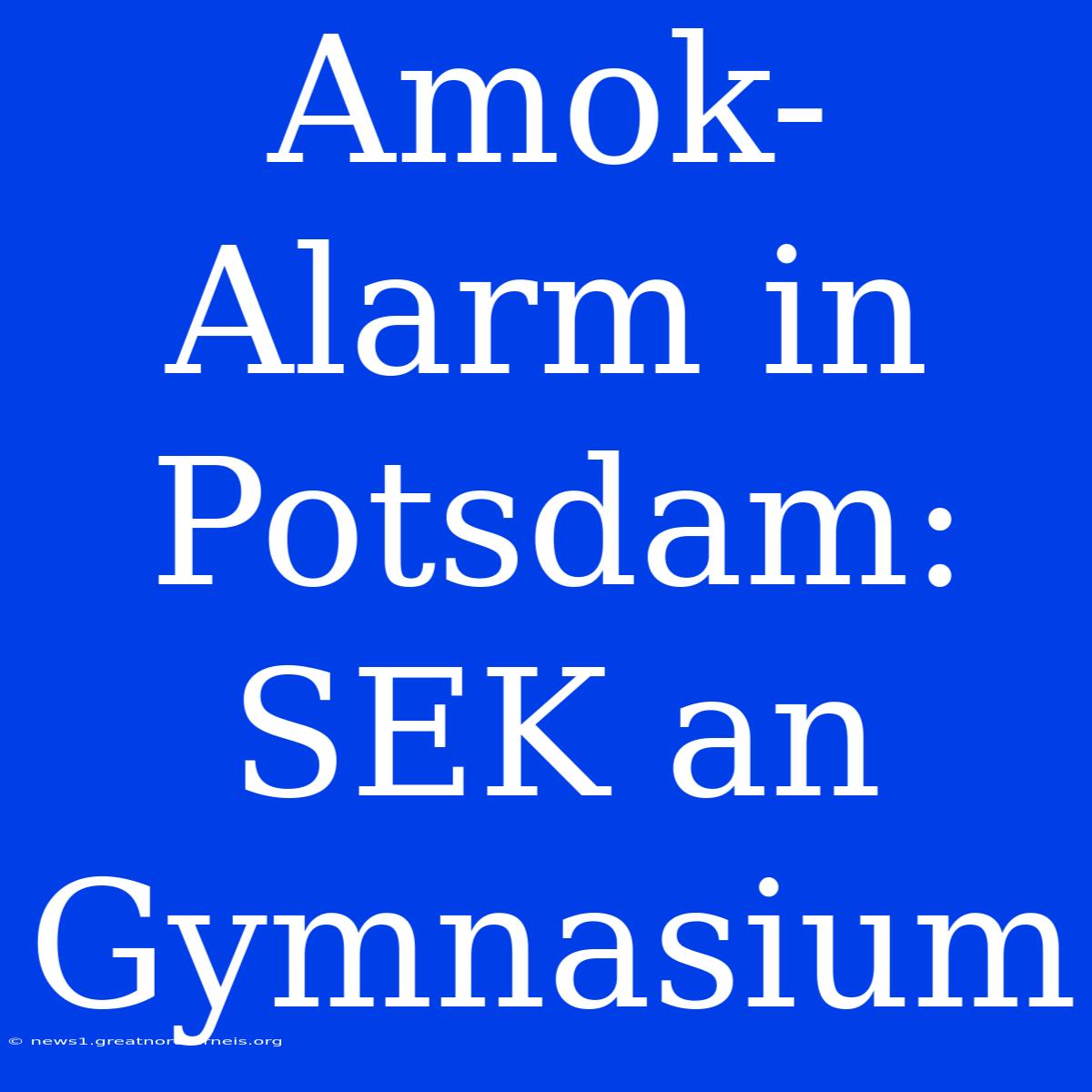 Amok-Alarm In Potsdam: SEK An Gymnasium