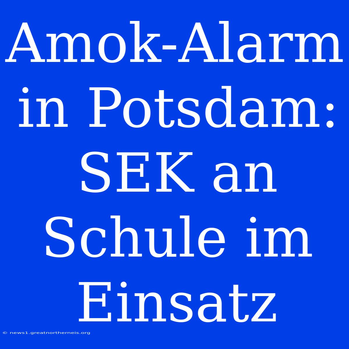 Amok-Alarm In Potsdam: SEK An Schule Im Einsatz