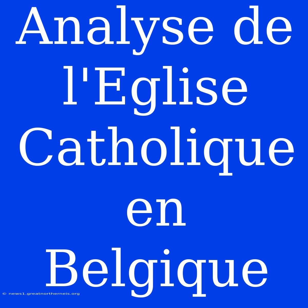 Analyse De L'Eglise Catholique En Belgique