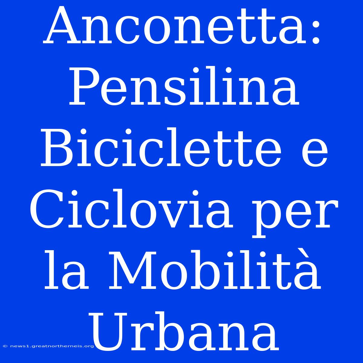 Anconetta:  Pensilina Biciclette E Ciclovia Per La Mobilità Urbana