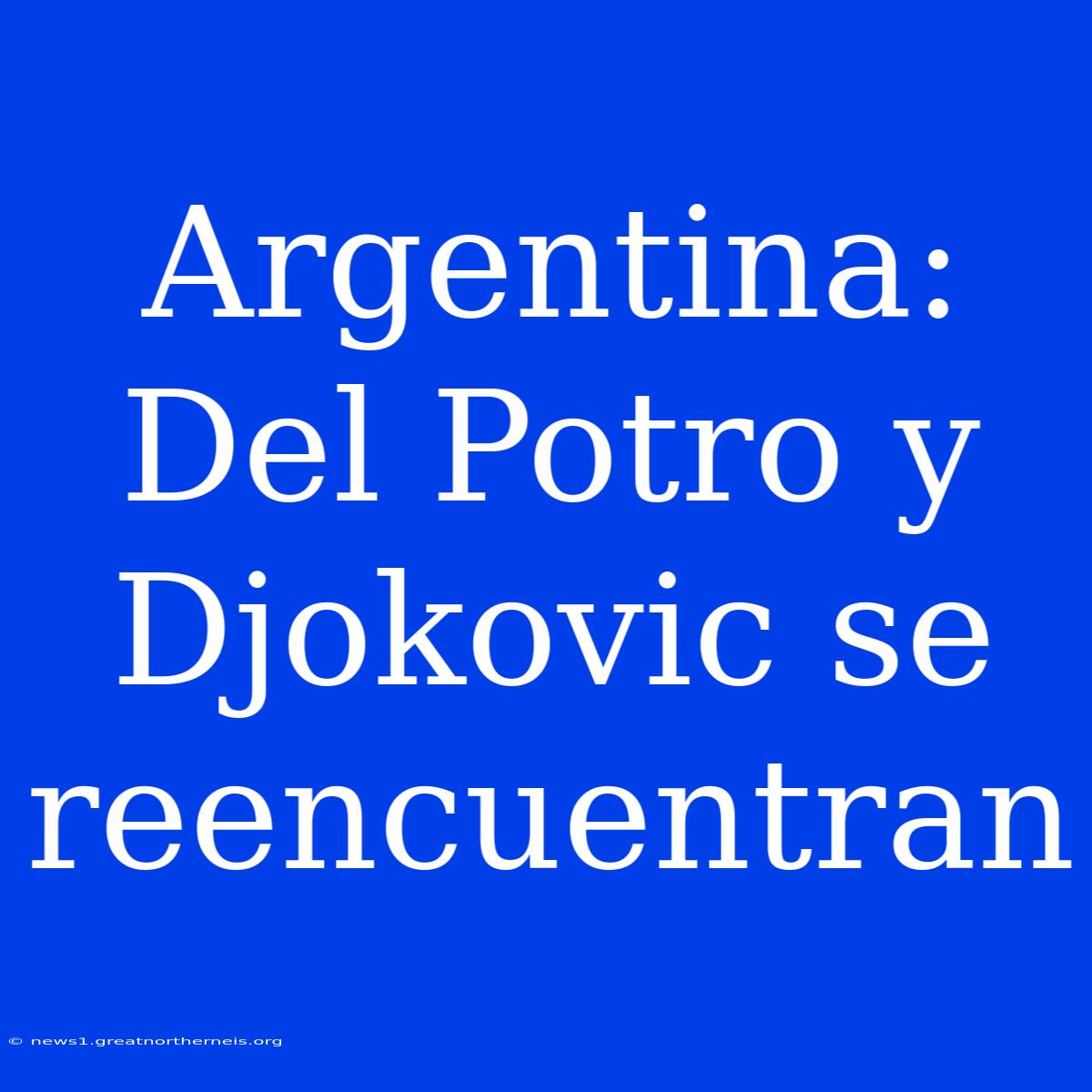 Argentina: Del Potro Y Djokovic Se Reencuentran