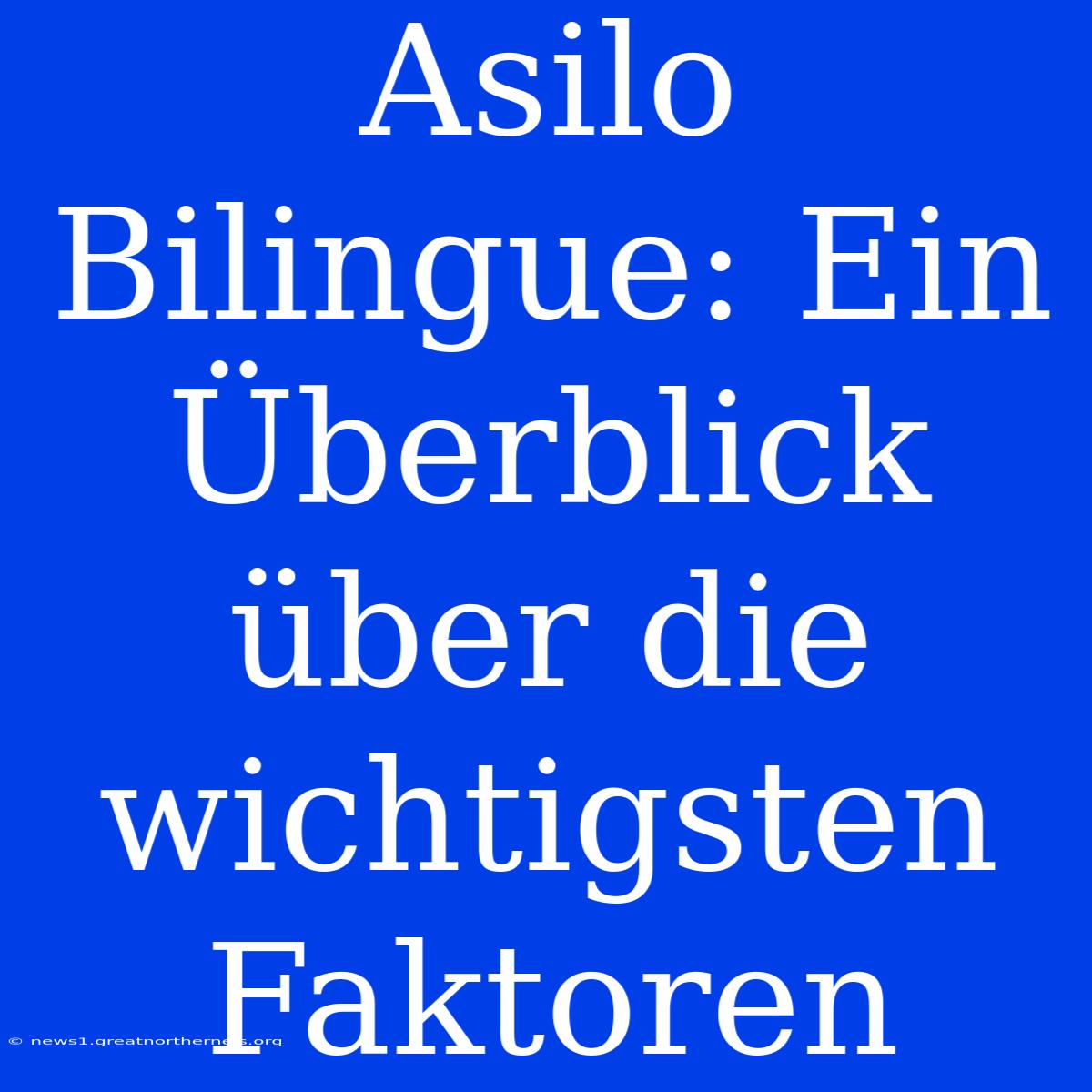 Asilo Bilingue: Ein Überblick Über Die Wichtigsten Faktoren