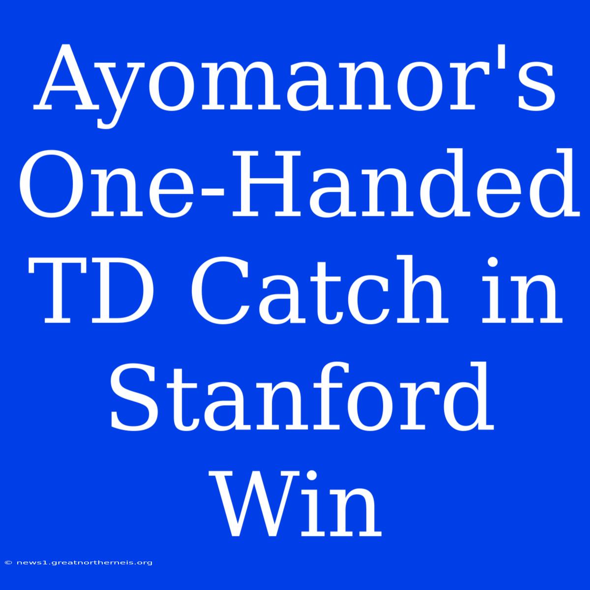 Ayomanor's One-Handed TD Catch In Stanford Win