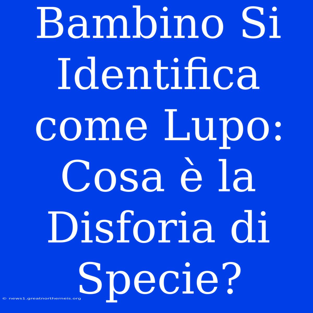 Bambino Si Identifica Come Lupo: Cosa È La Disforia Di Specie?