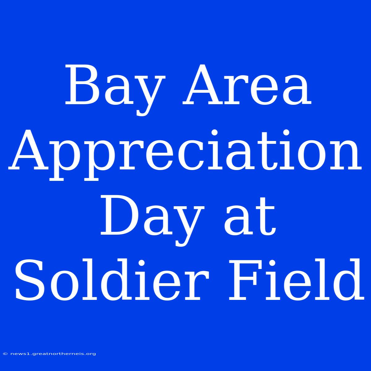 Bay Area Appreciation Day At Soldier Field