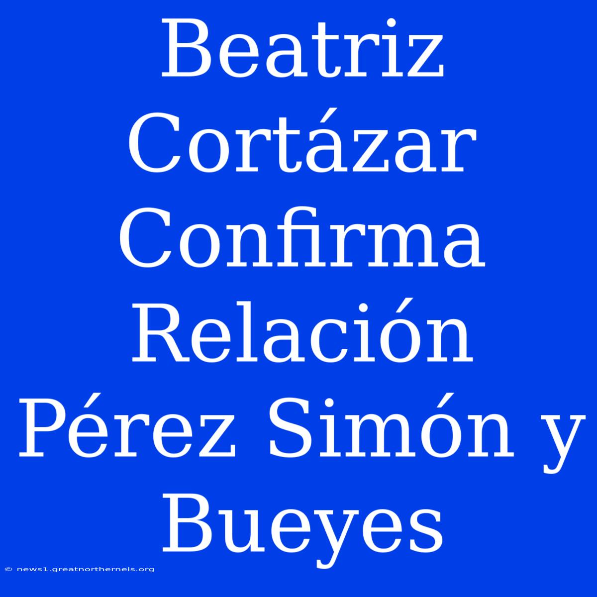 Beatriz Cortázar Confirma Relación Pérez Simón Y Bueyes