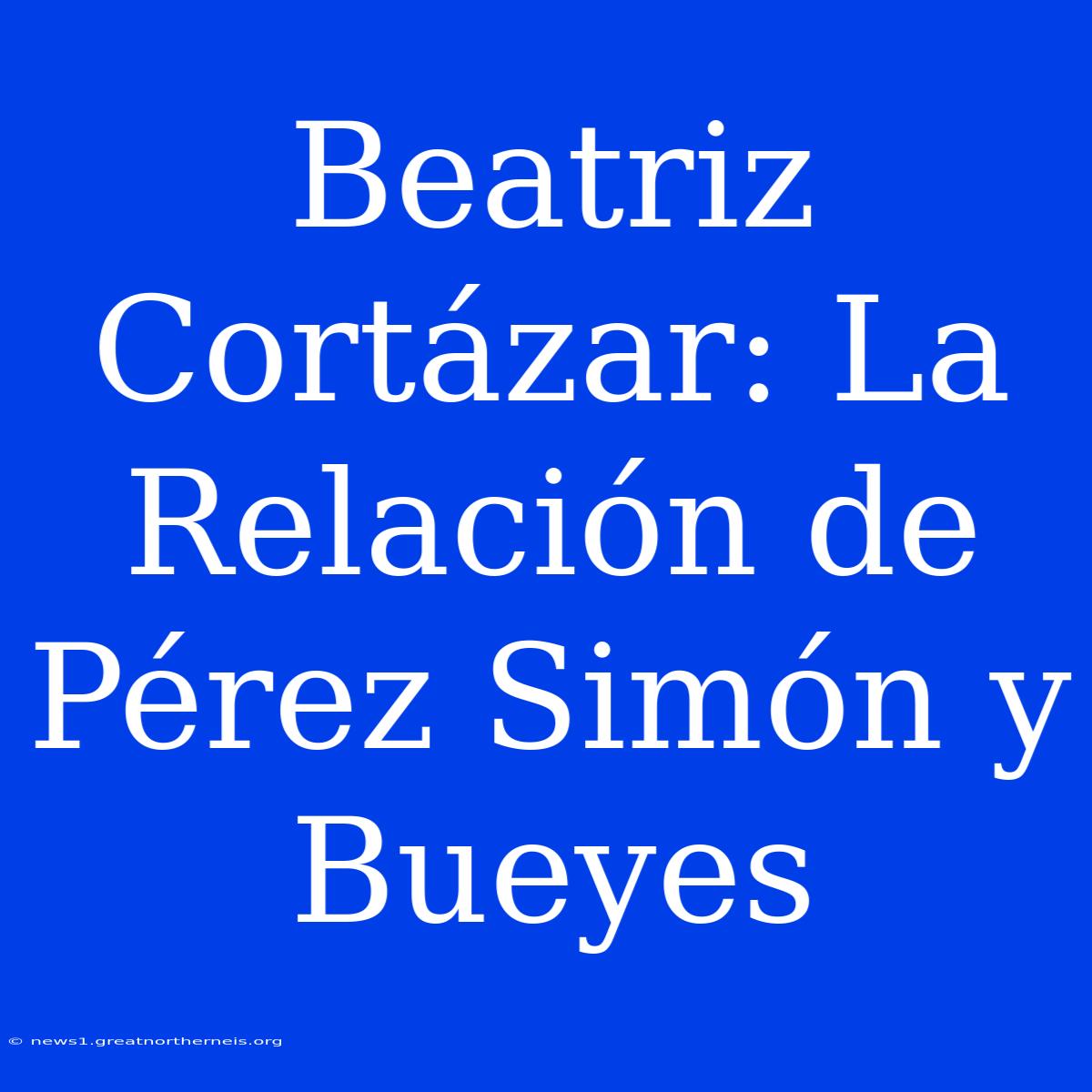 Beatriz Cortázar: La Relación De Pérez Simón Y Bueyes