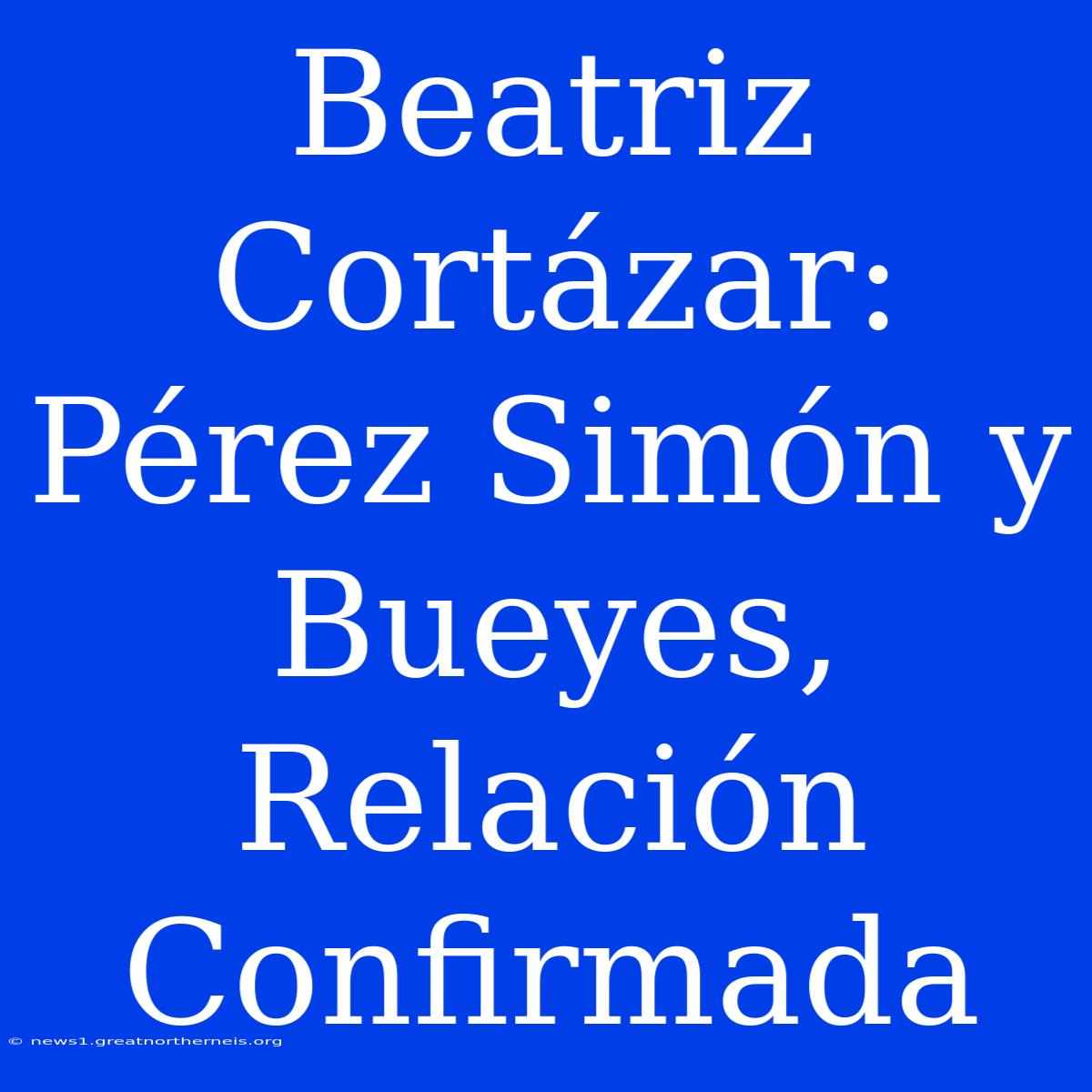 Beatriz Cortázar: Pérez Simón Y Bueyes, Relación Confirmada