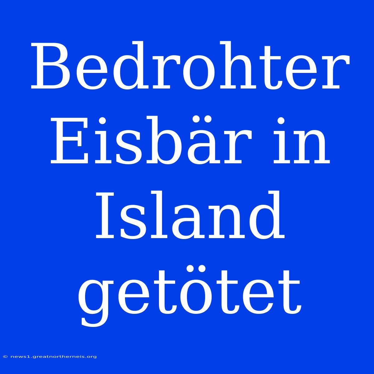 Bedrohter Eisbär In Island Getötet