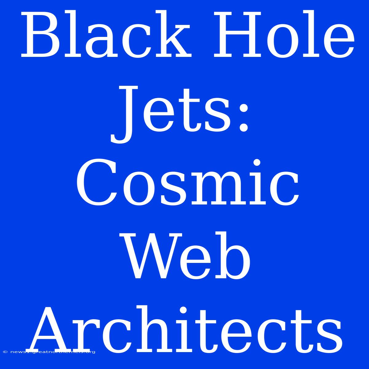 Black Hole Jets:  Cosmic Web Architects