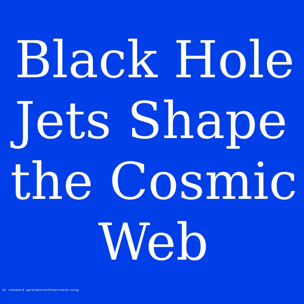 Black Hole Jets Shape The Cosmic Web