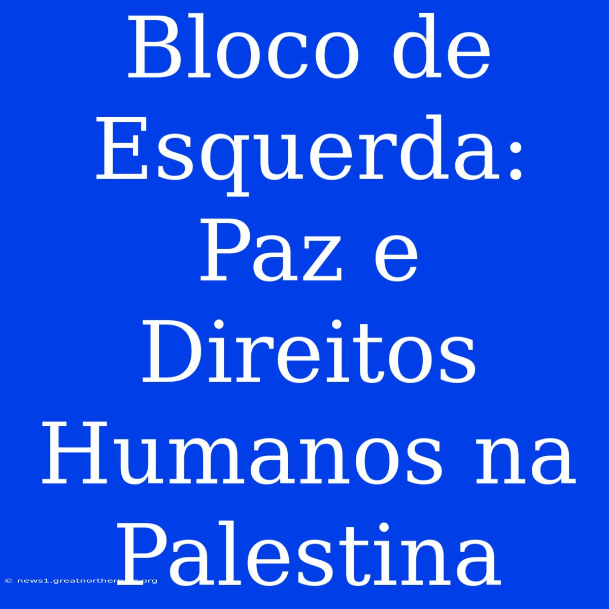 Bloco De Esquerda: Paz E Direitos Humanos Na Palestina