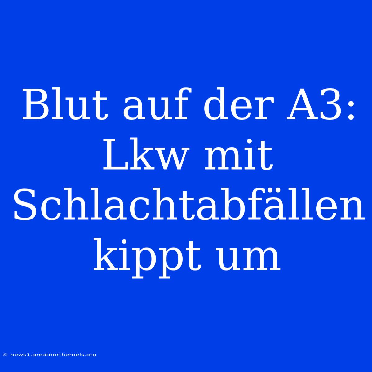 Blut Auf Der A3: Lkw Mit Schlachtabfällen Kippt Um