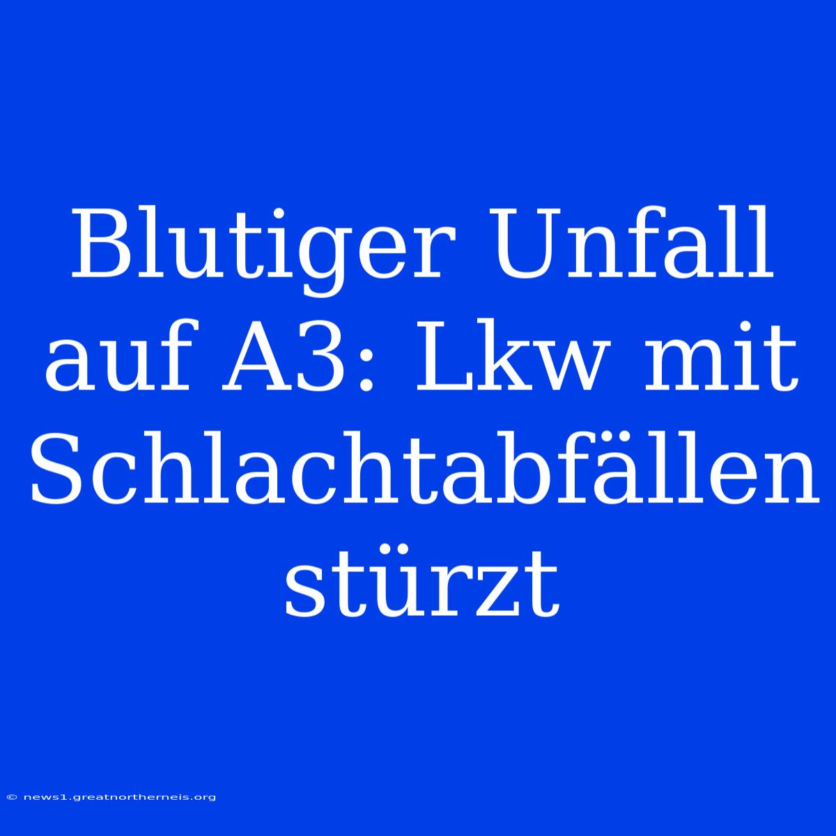 Blutiger Unfall Auf A3: Lkw Mit Schlachtabfällen Stürzt