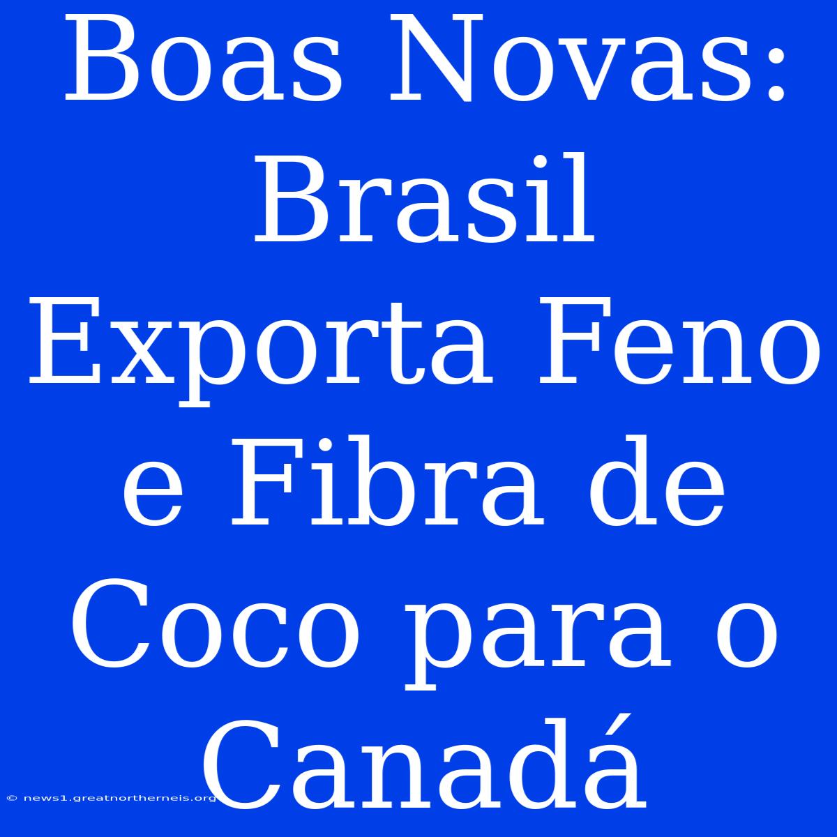 Boas Novas: Brasil Exporta Feno E Fibra De Coco Para O Canadá