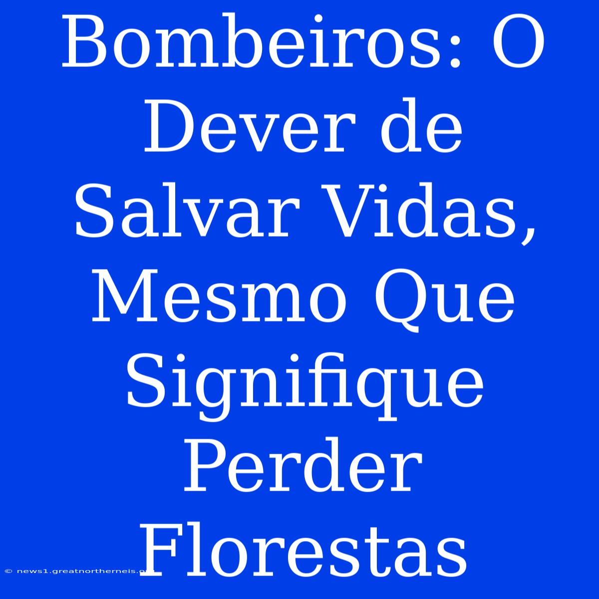 Bombeiros: O Dever De Salvar Vidas, Mesmo Que Signifique Perder Florestas