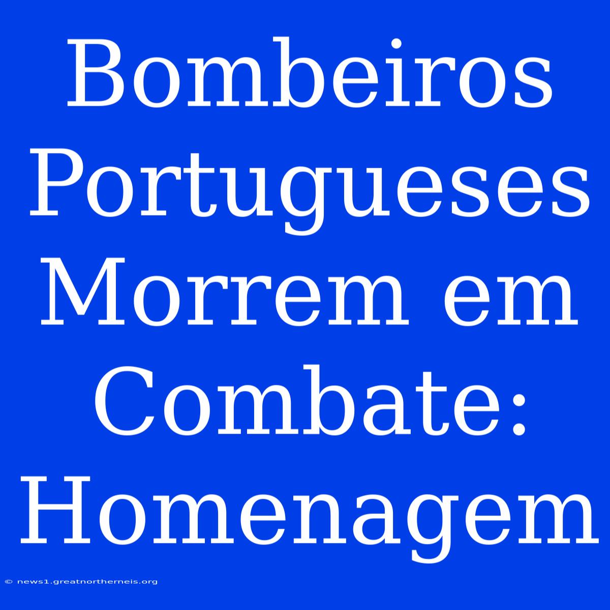 Bombeiros Portugueses Morrem Em Combate: Homenagem