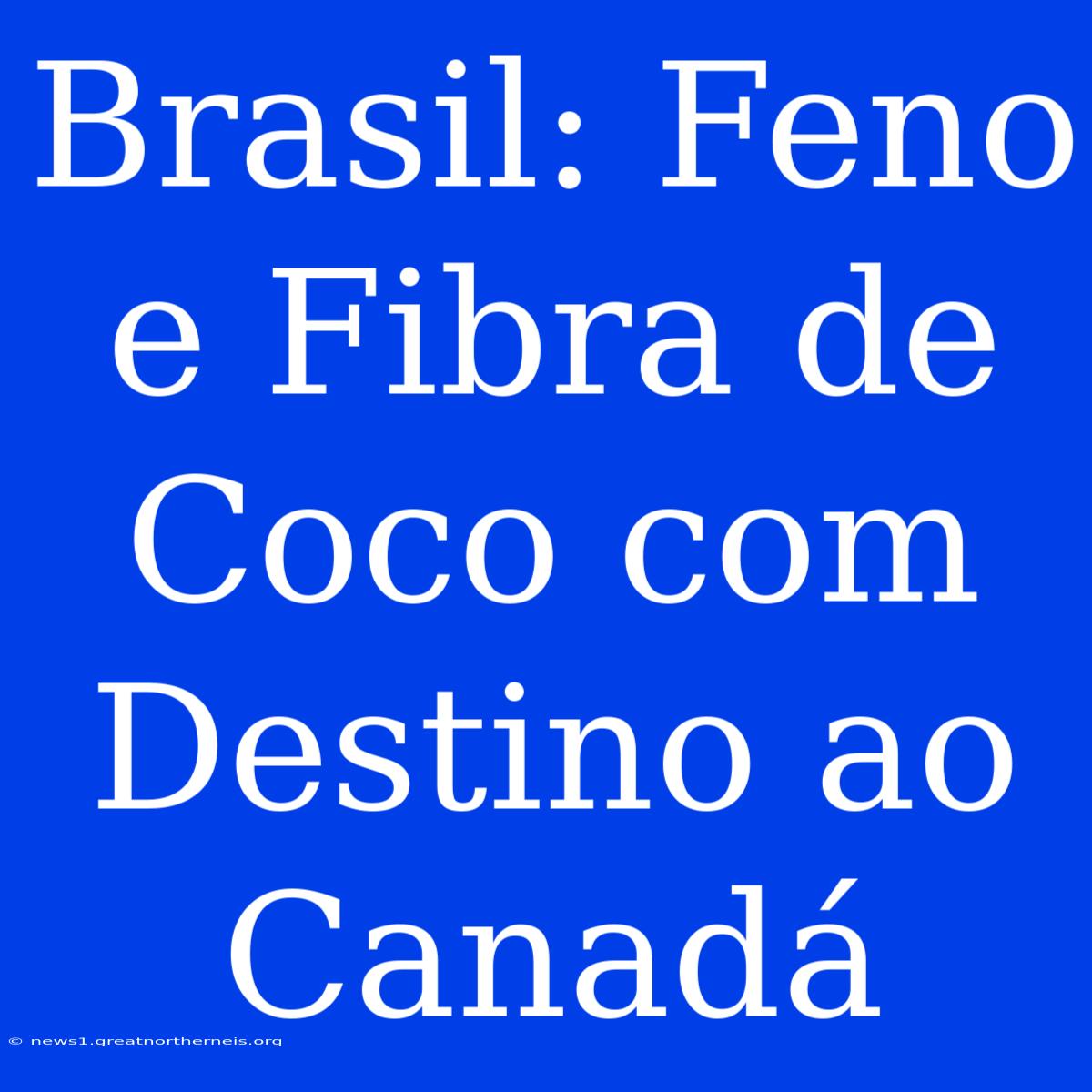 Brasil: Feno E Fibra De Coco Com Destino Ao Canadá