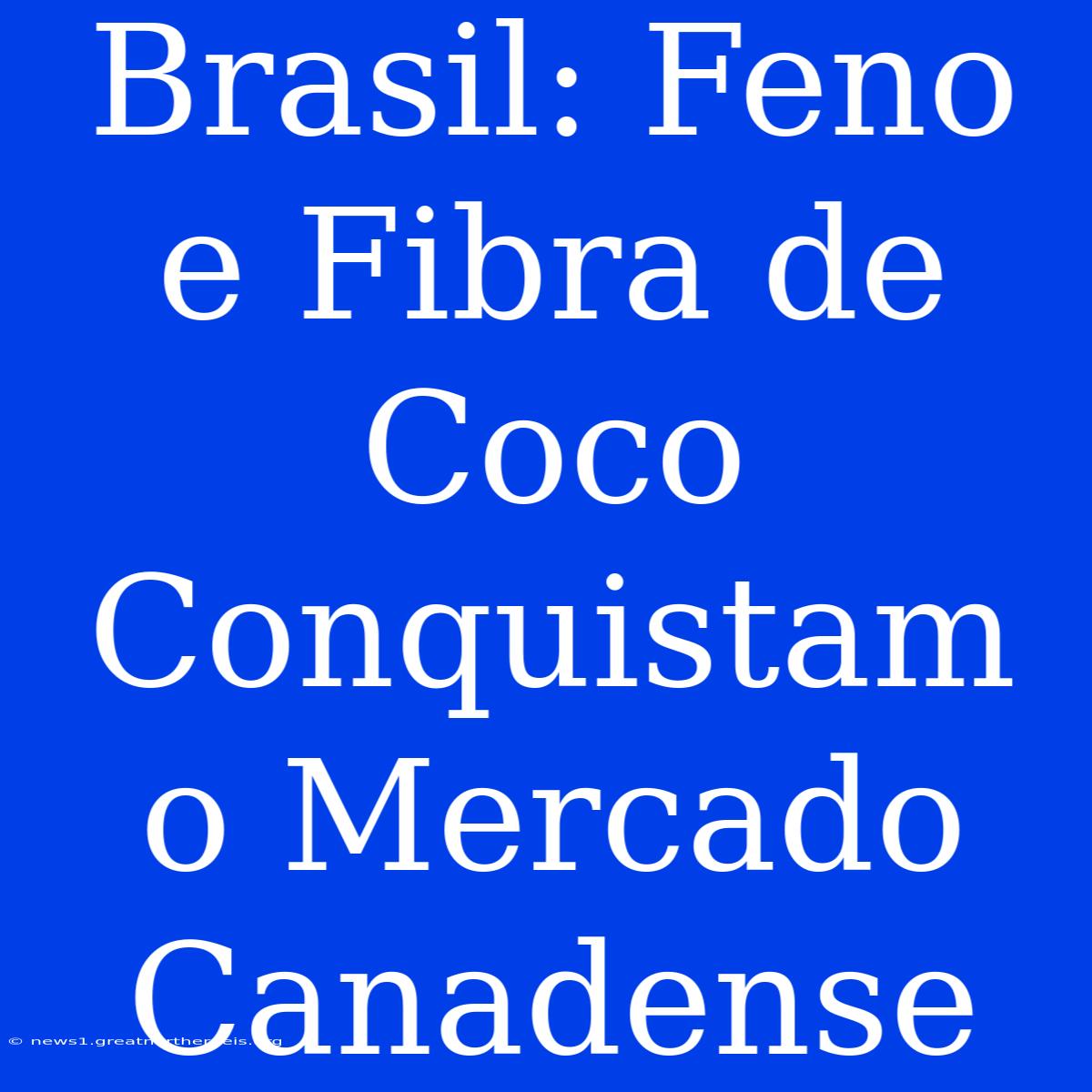 Brasil: Feno E Fibra De Coco Conquistam O Mercado Canadense