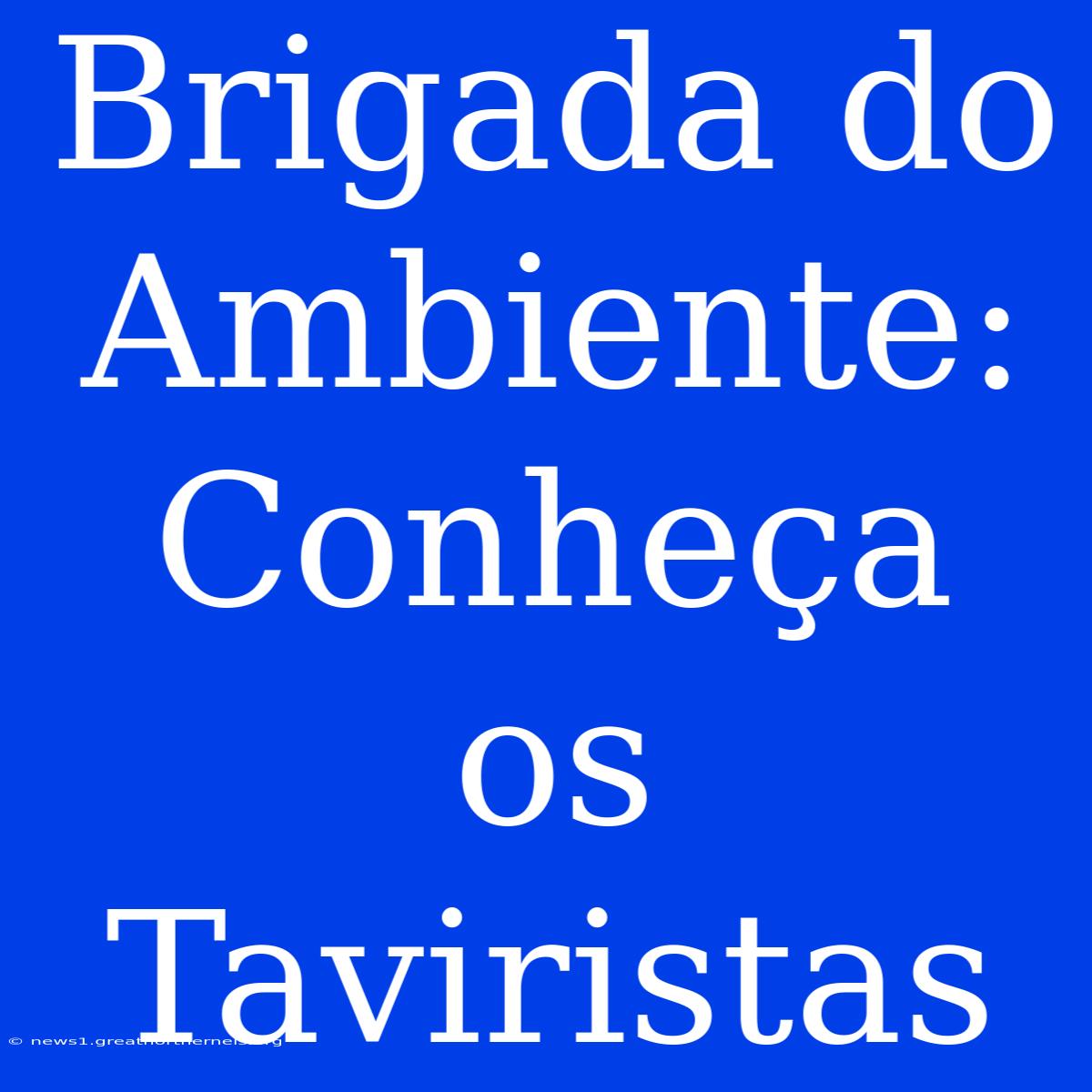 Brigada Do Ambiente: Conheça Os Taviristas