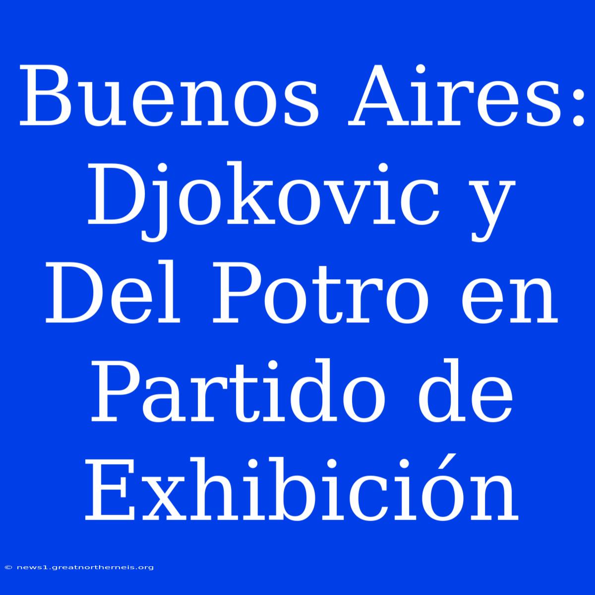 Buenos Aires: Djokovic Y Del Potro En Partido De Exhibición