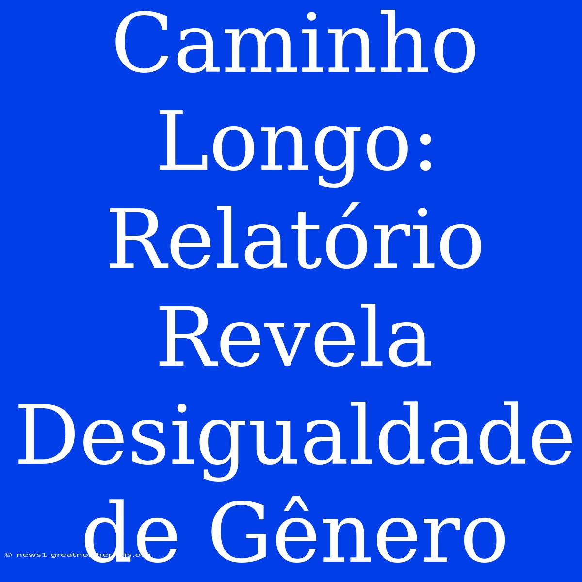 Caminho Longo: Relatório Revela Desigualdade De Gênero