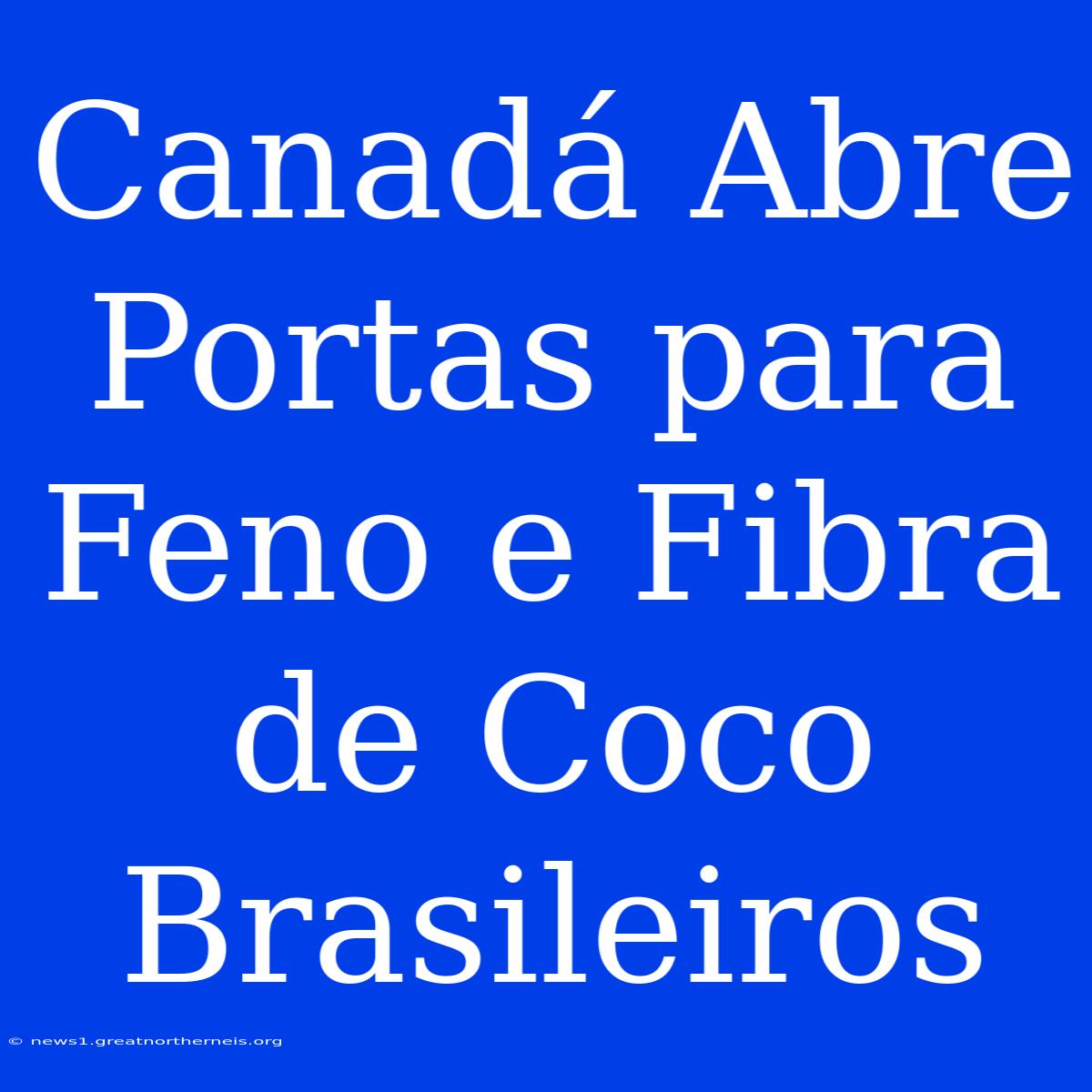 Canadá Abre Portas Para Feno E Fibra De Coco Brasileiros