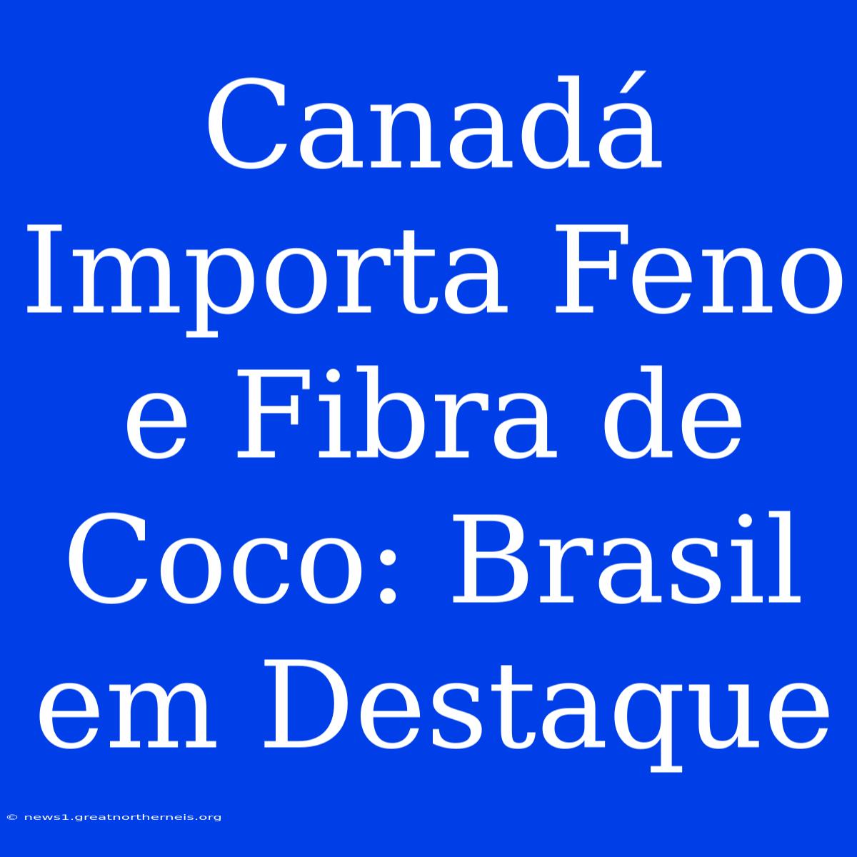 Canadá Importa Feno E Fibra De Coco: Brasil Em Destaque