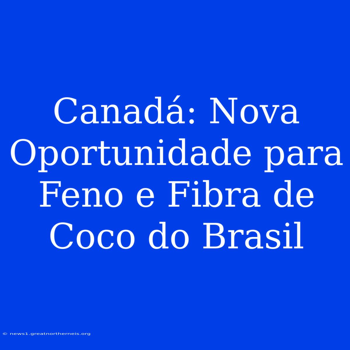 Canadá: Nova Oportunidade Para Feno E Fibra De Coco Do Brasil