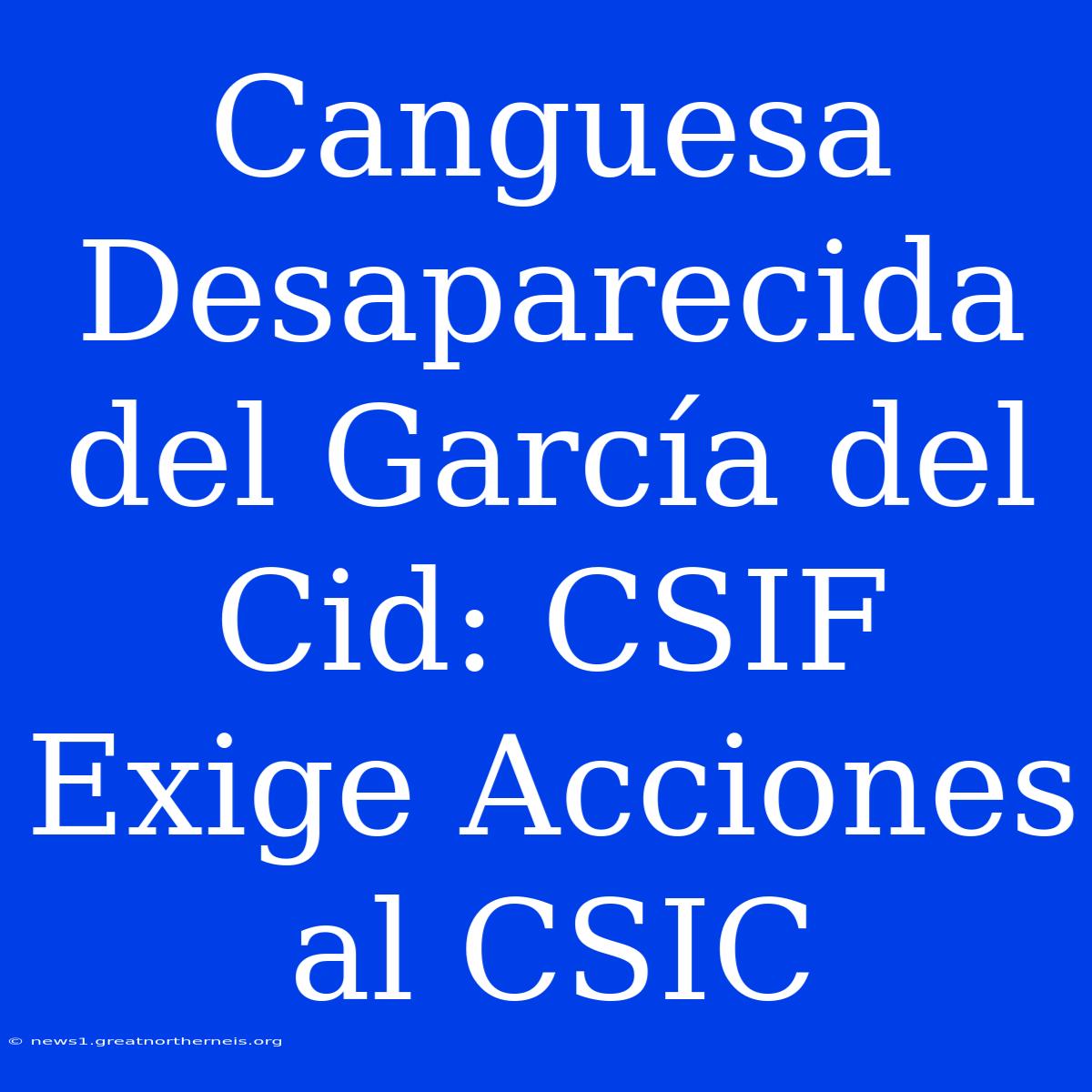 Canguesa Desaparecida Del García Del Cid: CSIF Exige Acciones Al CSIC