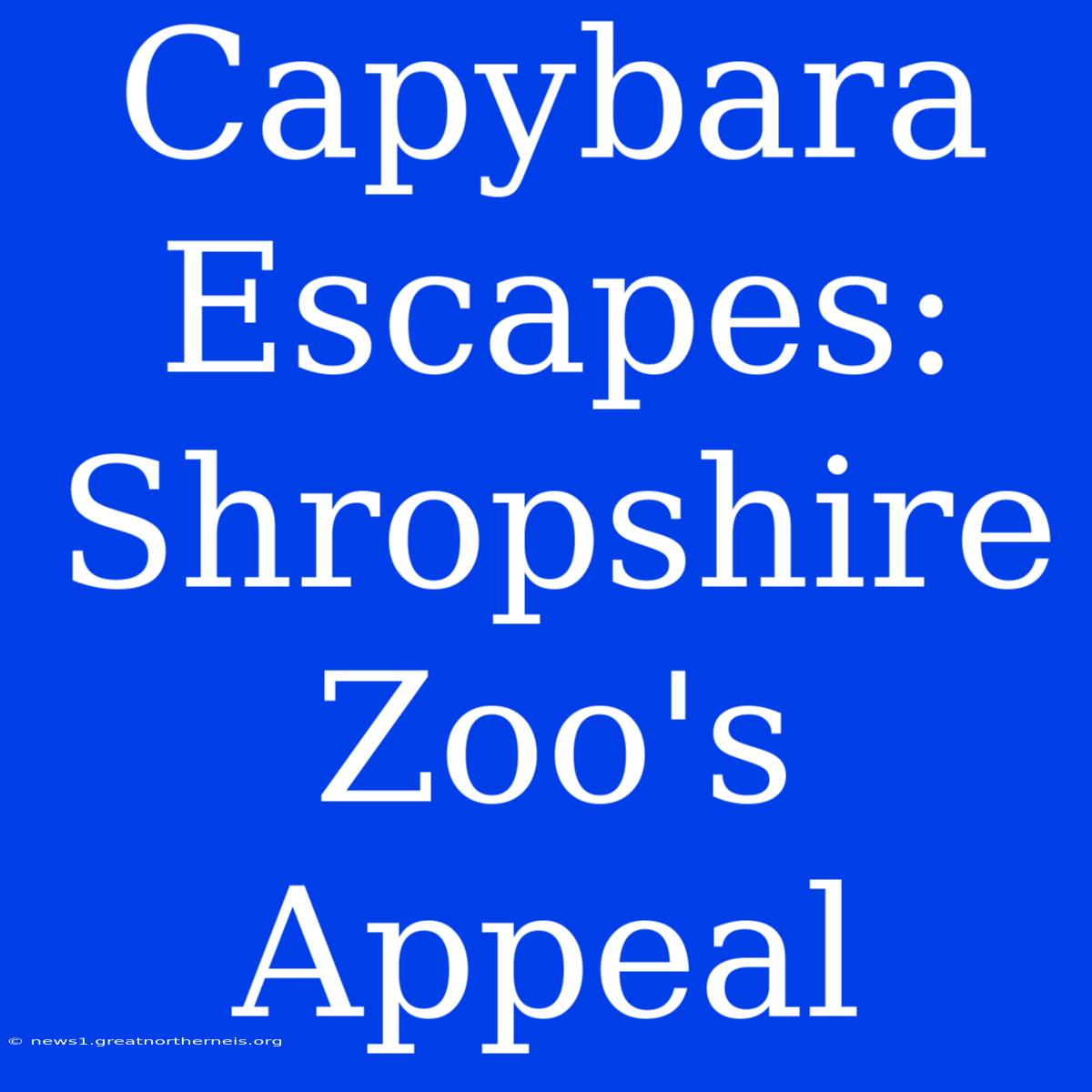 Capybara Escapes: Shropshire Zoo's Appeal