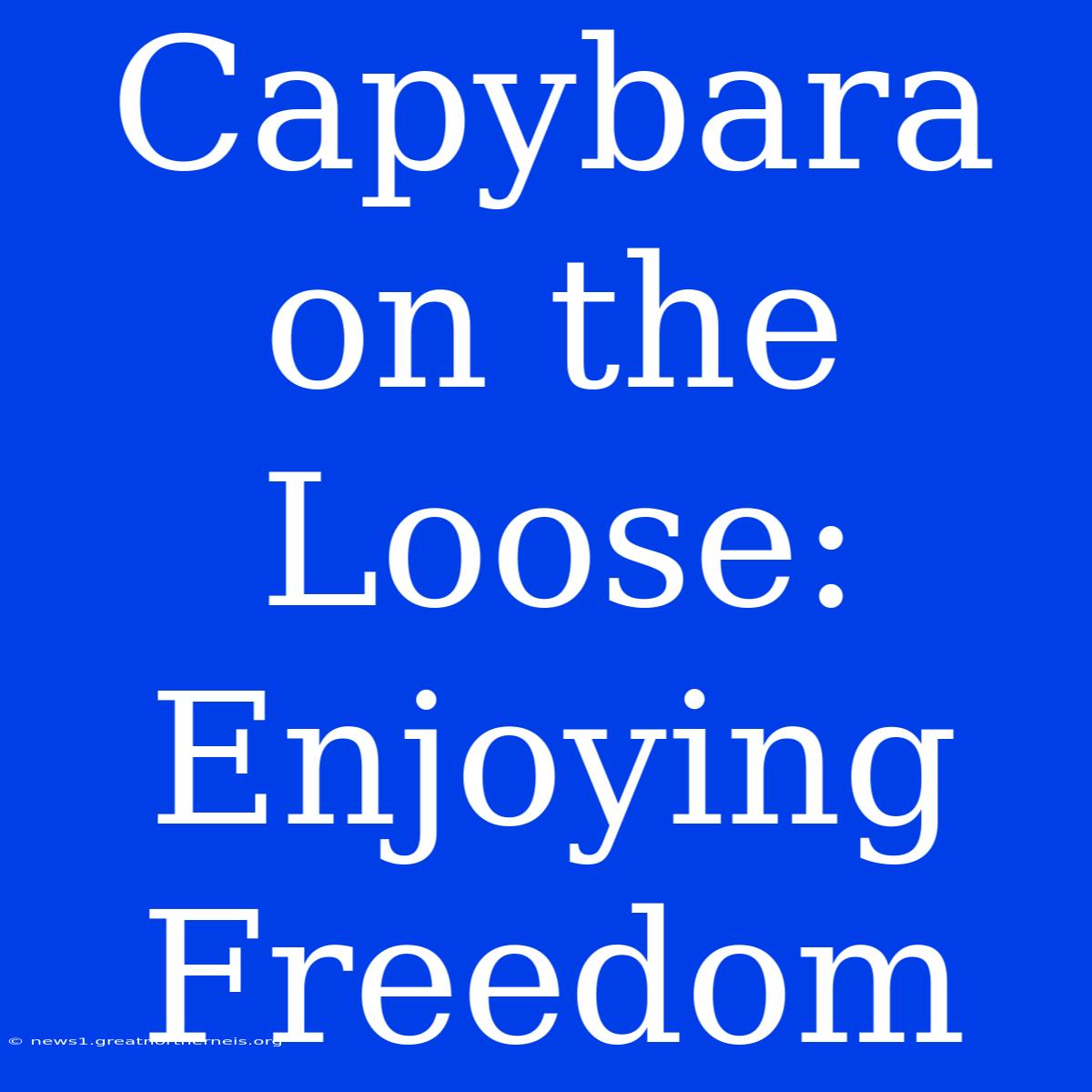 Capybara On The Loose: Enjoying Freedom