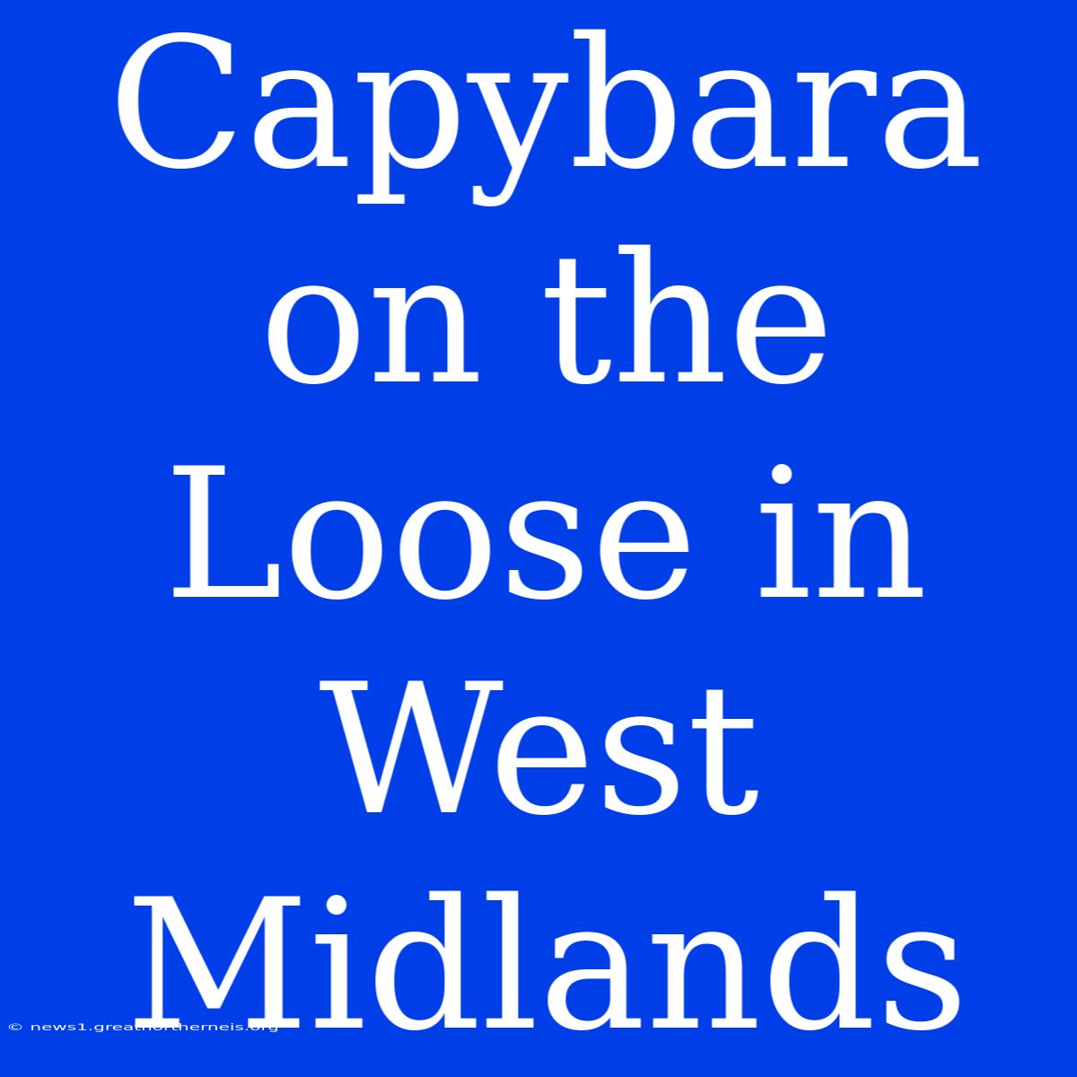 Capybara On The Loose In West Midlands