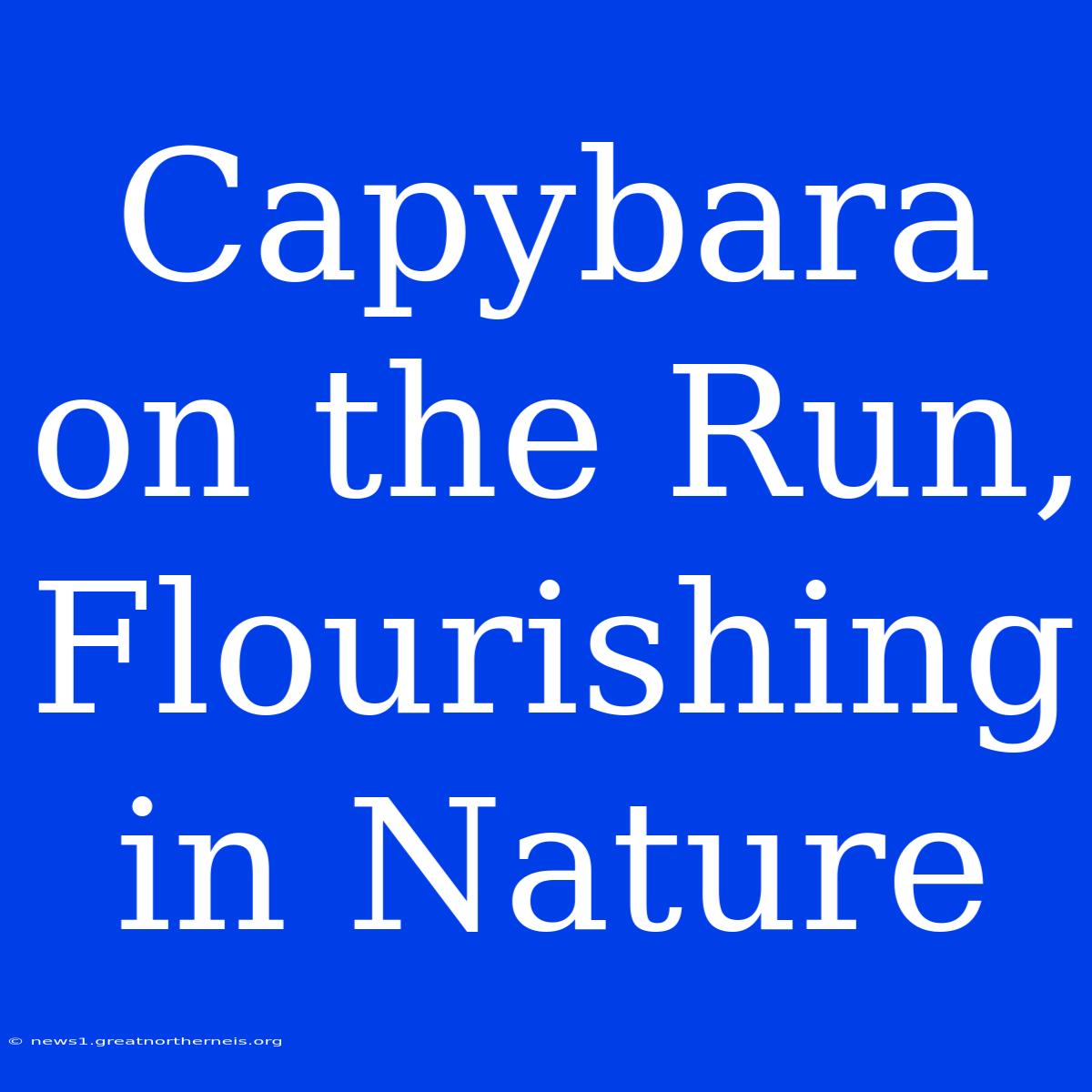 Capybara On The Run, Flourishing In Nature