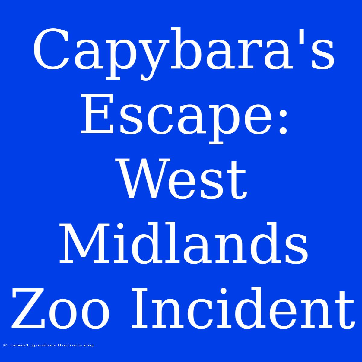 Capybara's Escape: West Midlands Zoo Incident