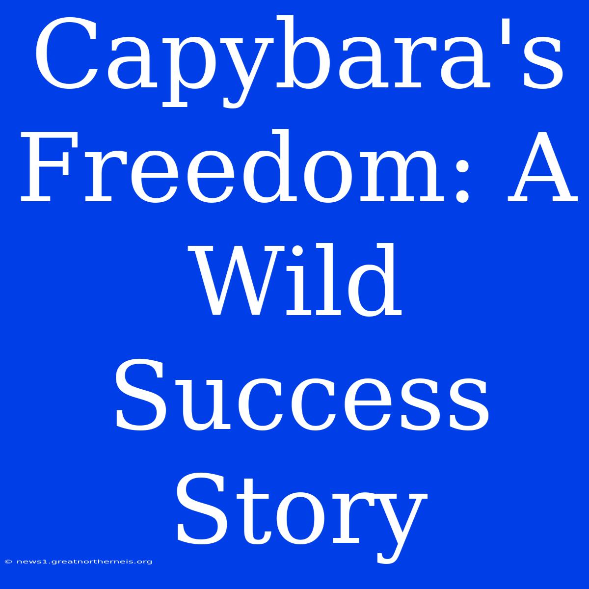 Capybara's Freedom: A Wild Success Story