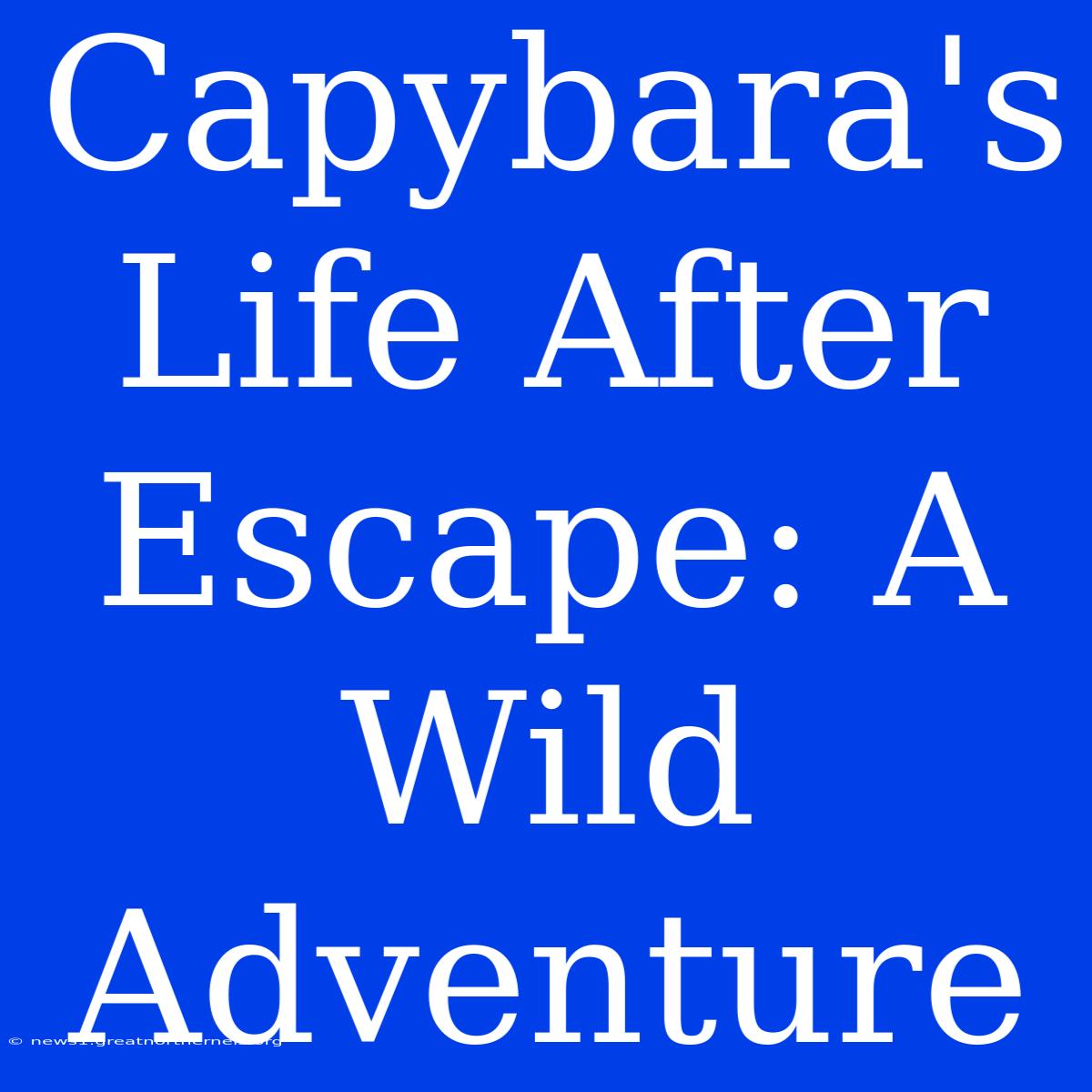 Capybara's Life After Escape: A Wild Adventure