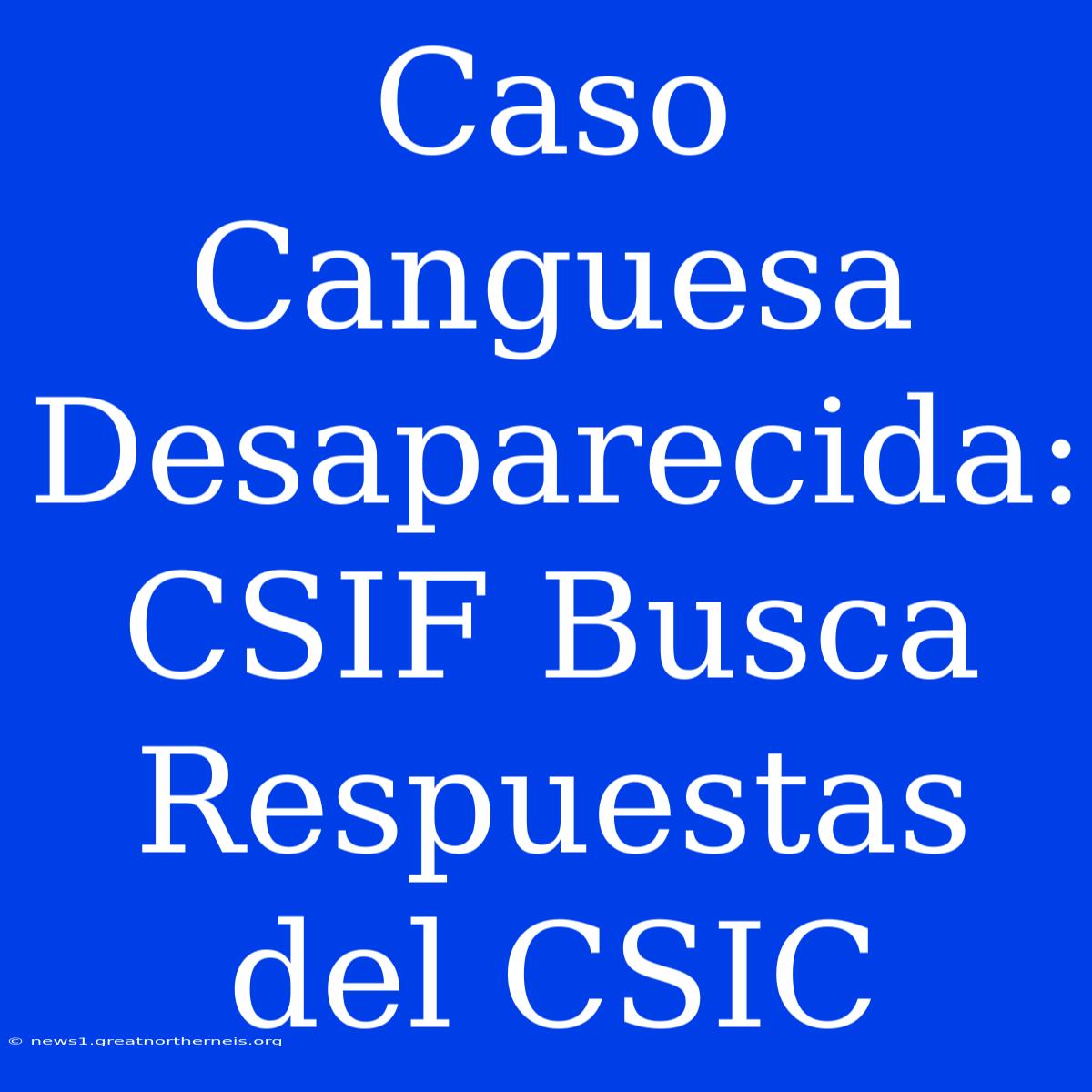 Caso Canguesa Desaparecida: CSIF Busca Respuestas Del CSIC