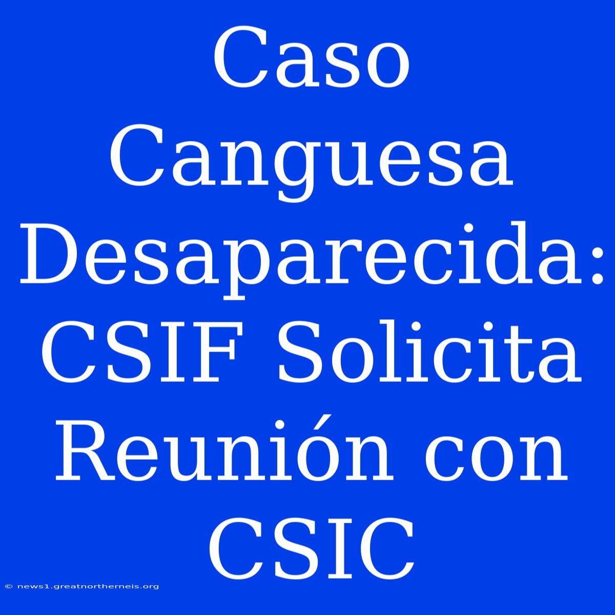 Caso Canguesa Desaparecida: CSIF Solicita Reunión Con CSIC