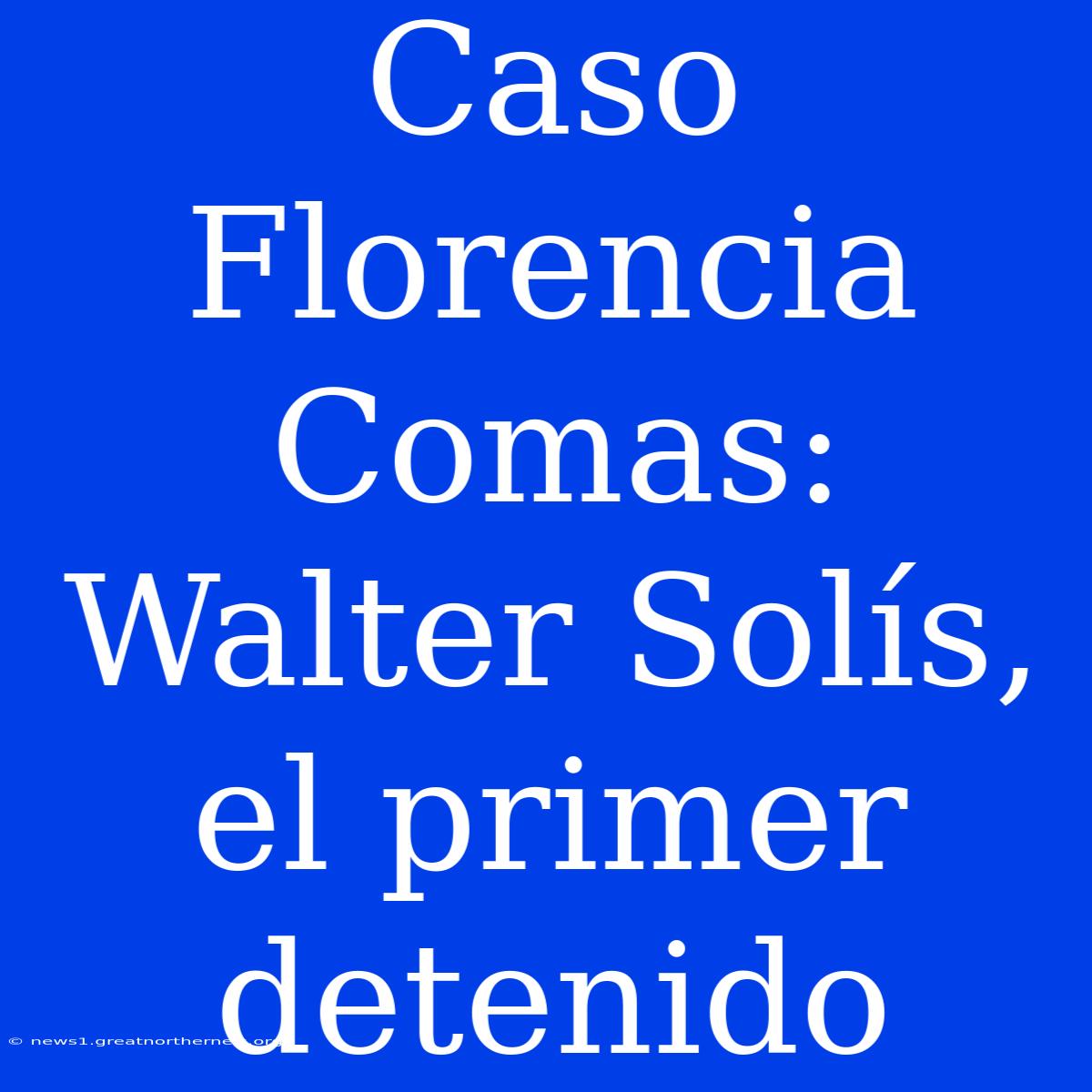 Caso Florencia Comas: Walter Solís, El Primer Detenido